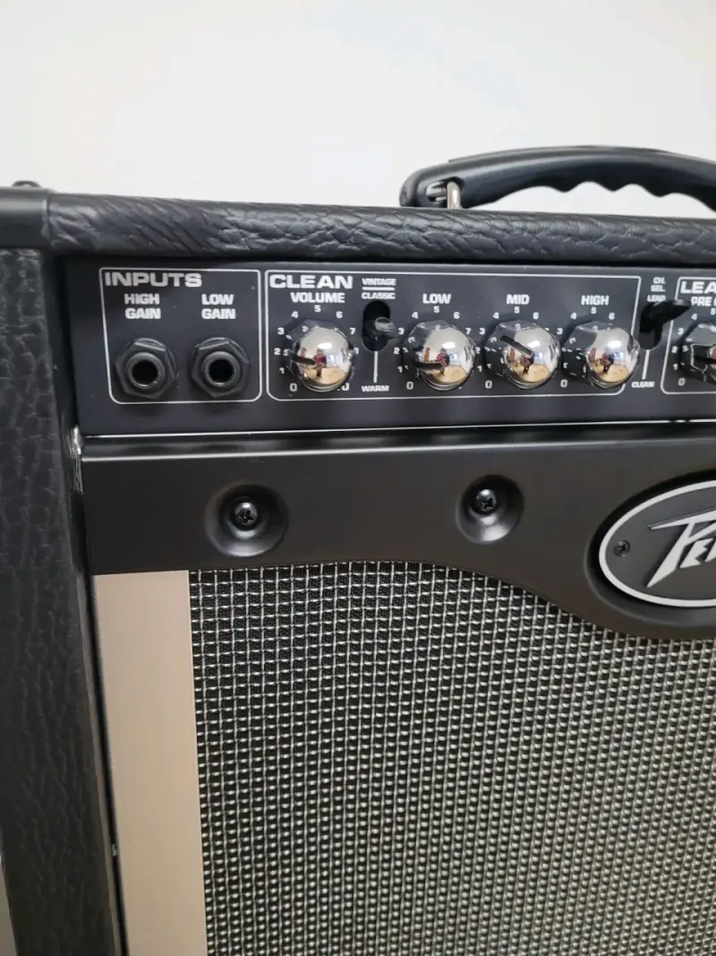 Amplificador de guitarra Peavey Envoy 110 - 4