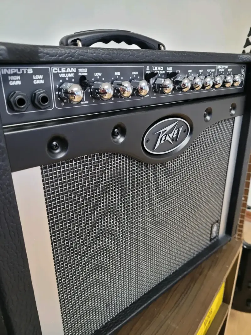 Amplificador de guitarra Peavey Envoy 110 - 5