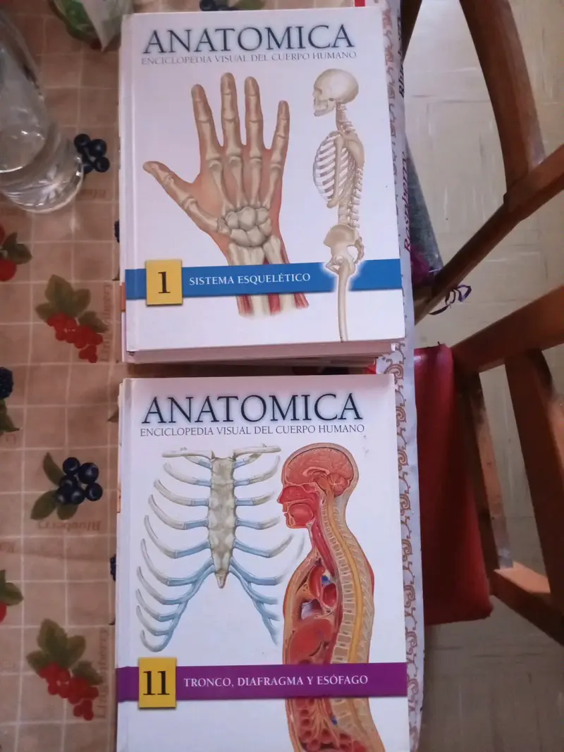 Colección de libros Anatomica Enciclopedia Visual - 1