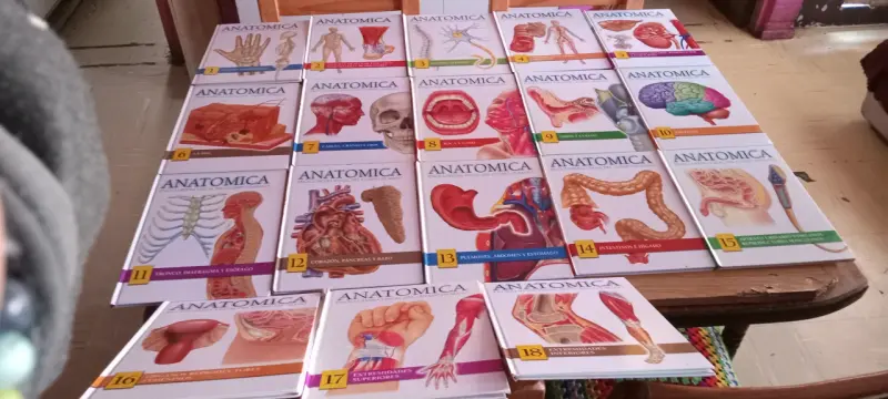 Colección de libros Anatomica Enciclopedia Visual - 2