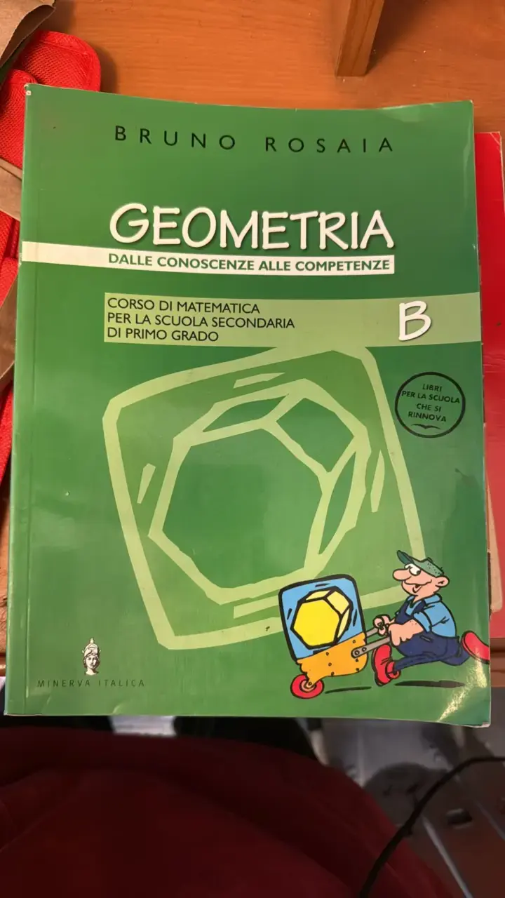 Libro de Geometría B para secundaria - 1