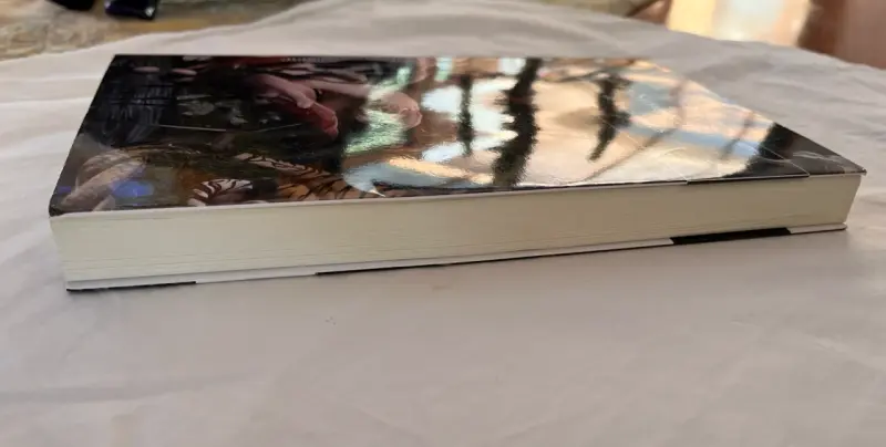 Libro 'La razón de los amantes' de Pablo Simonetti - 5