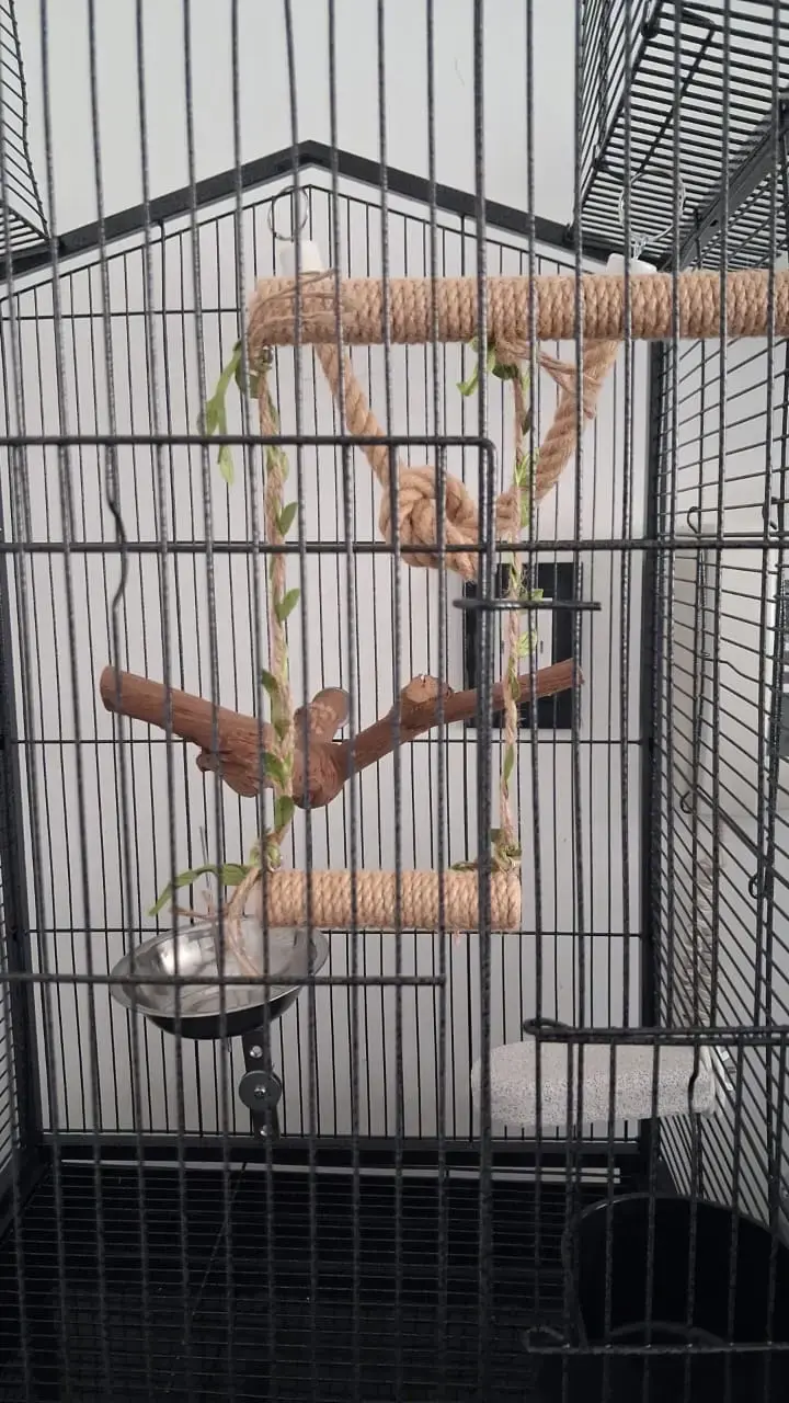 Jaula grande para aves con accesorios - 2