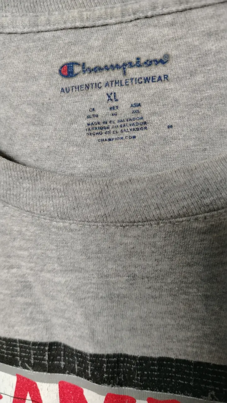Polera gris Champion con diseño de cassette - 2