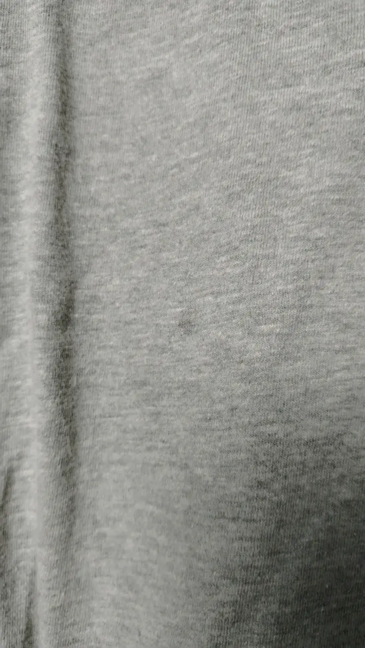 Polera gris Champion con diseño de cassette - 3