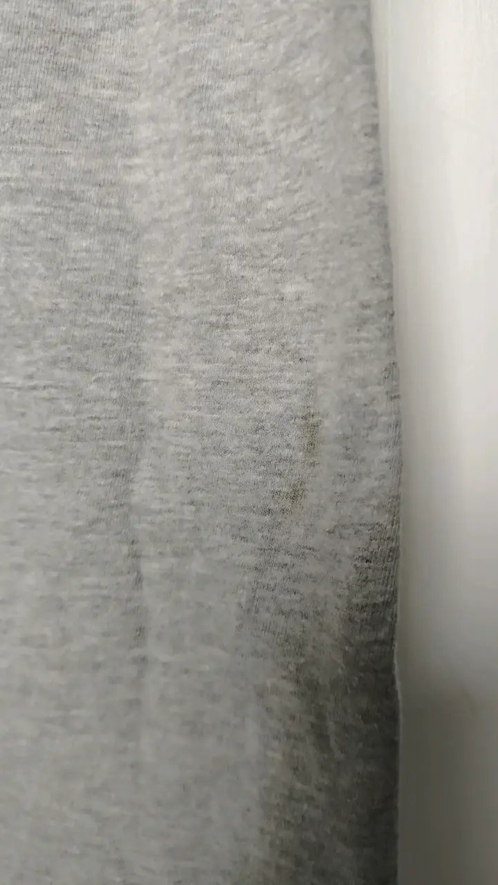 Polera gris Champion con diseño de cassette - 4