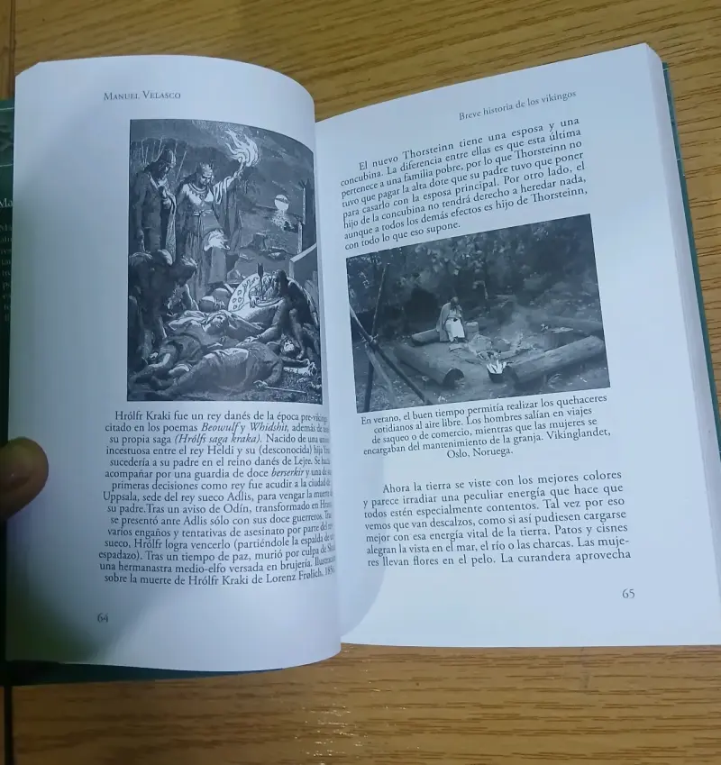 Libro Breve Historia de los Vikingos de Manuel Velasco - 4