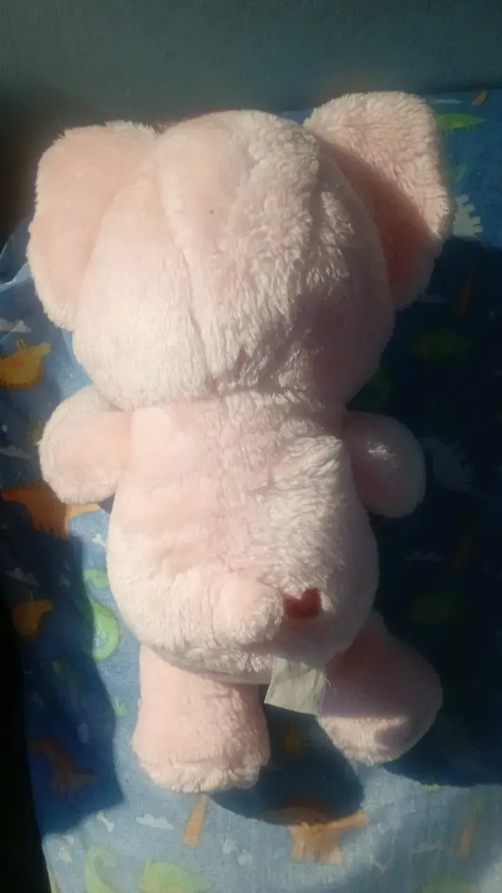 Peluche ositos cariñositos de los 80's - 2