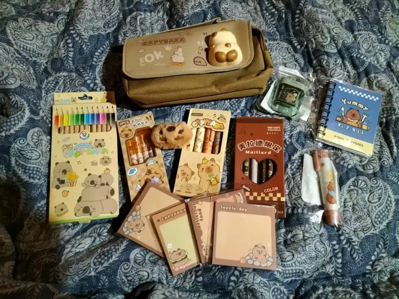 Set de papelería y accesorios kawaii - 5