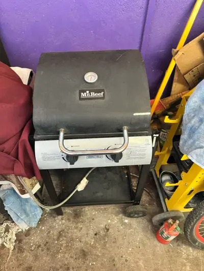 Parrilla a gas Mr. Beef con termómetro - miniatura 1