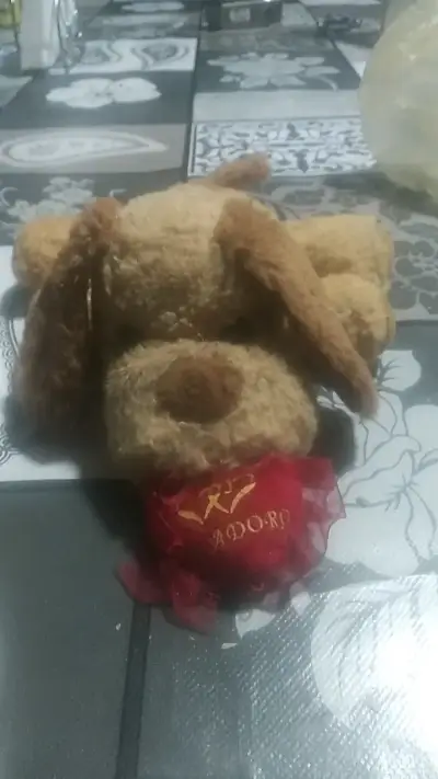 Peluche de perro con mensaje 'Te Adoro' - miniatura 1