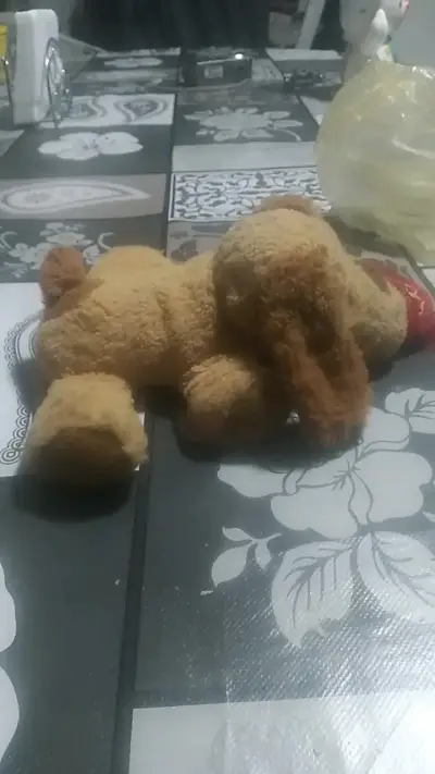 Peluche de perro con mensaje 'Te Adoro' - miniatura 2