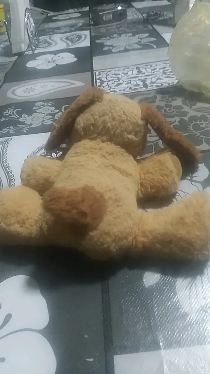 Peluche de perro con mensaje 'Te Adoro' - 3