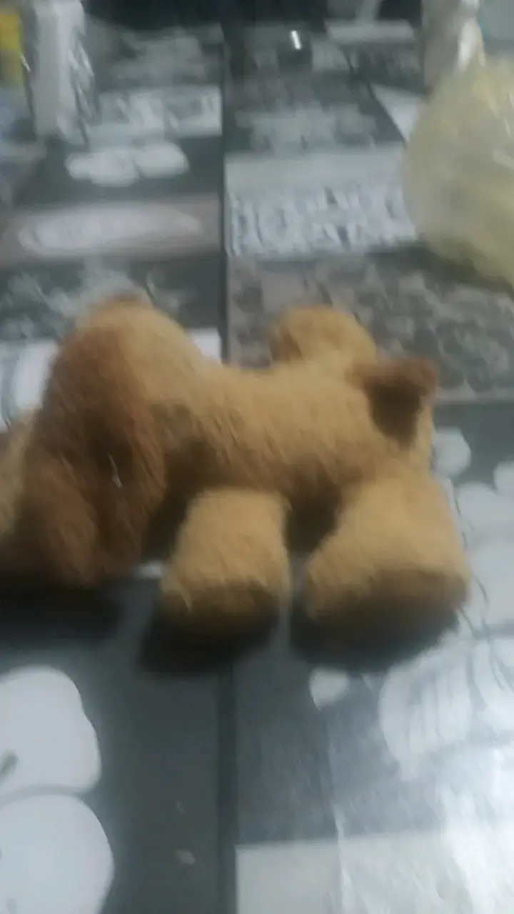 Peluche de perro con mensaje 'Te Adoro' - 4