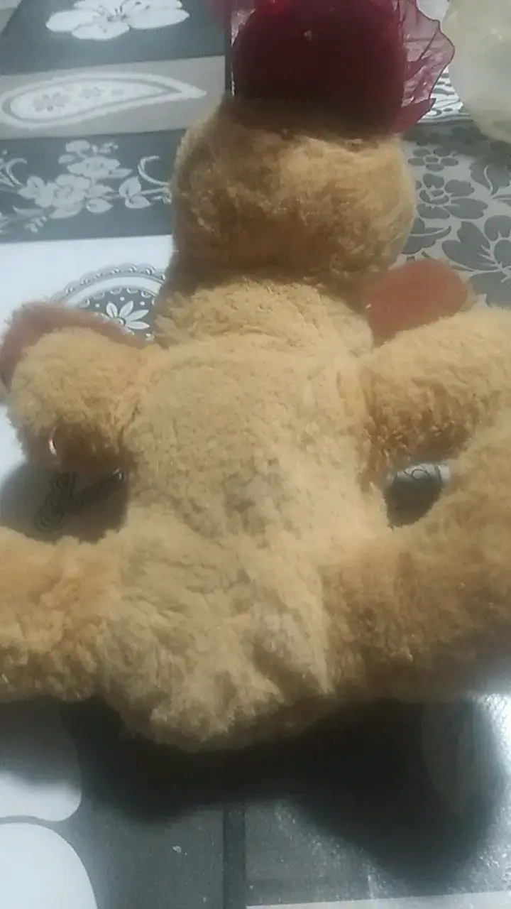 Peluche de perro con mensaje 'Te Adoro' - 5