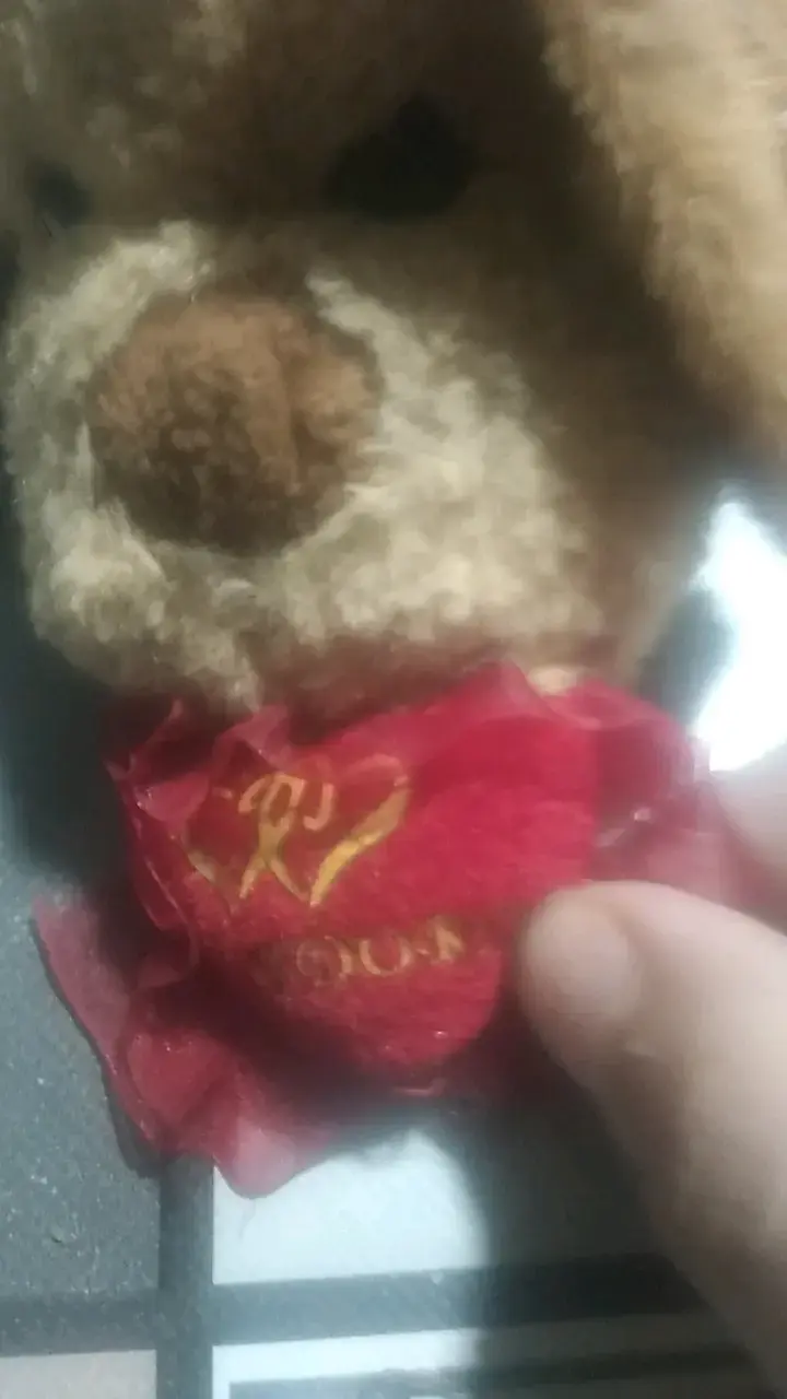 Peluche de perro con mensaje 'Te Adoro' - 6