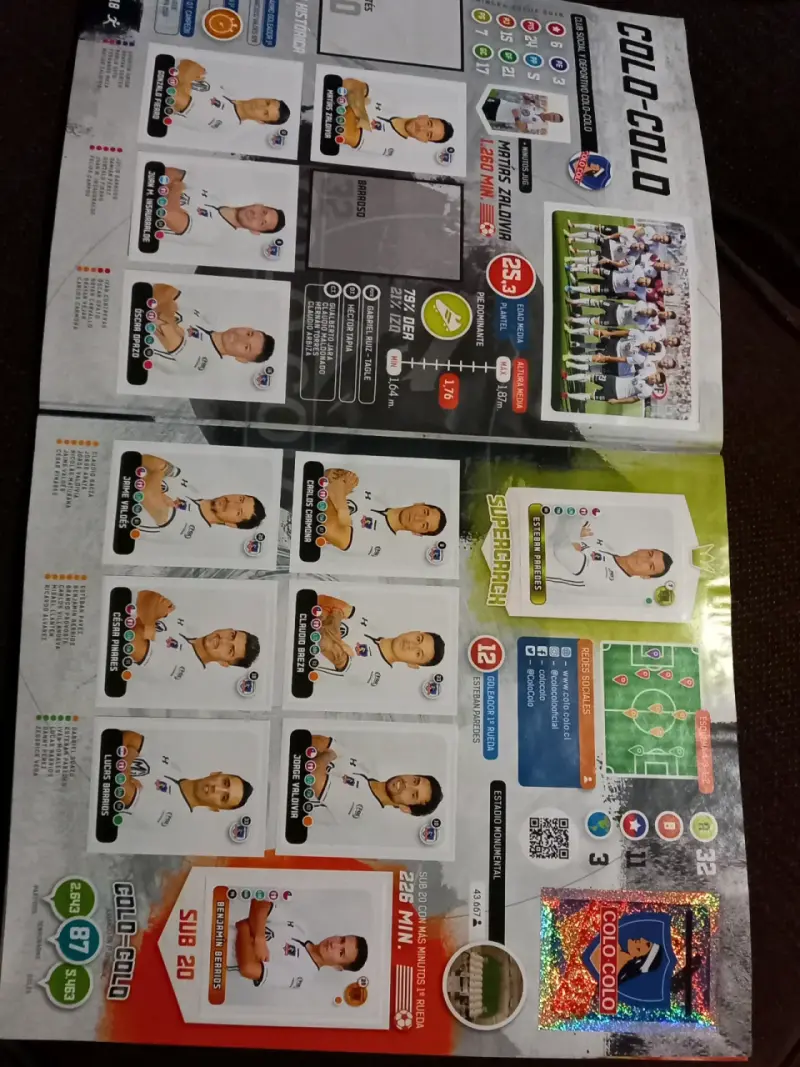Álbum Campeonato Nacional 2018 Panini(356 láminas) - 2