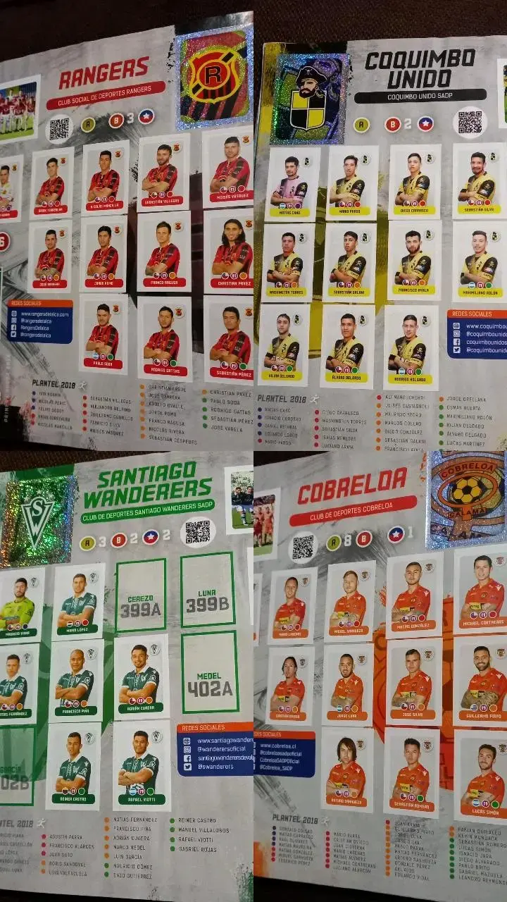 Álbum Campeonato Nacional 2018 Panini(356 láminas) - 5