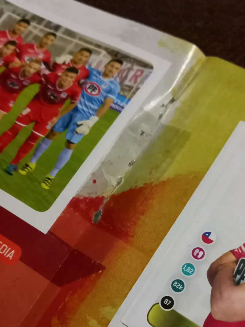 Álbum Campeonato Nacional 2018 Panini(356 láminas) - 6