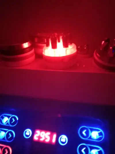 Máquina de cavitación y radiofrecuencia para estética - miniatura 4