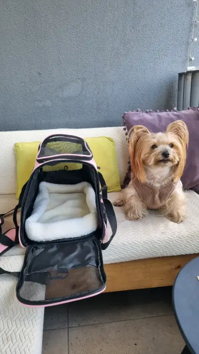 Bolso transportador para mascotas rosa nuevo - miniatura 2