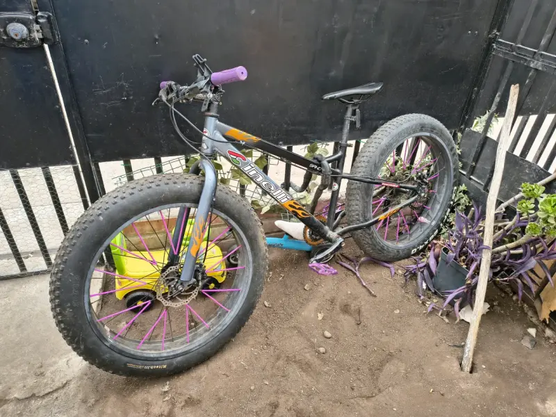 Bicicleta Fat Bike - 1