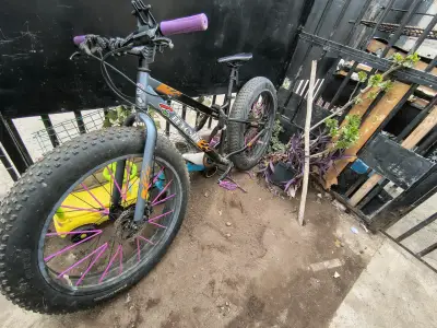 Bicicleta Fat Bike - miniatura 2