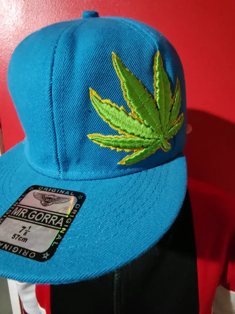 Gorra azul con hoja bordada Mr. Gorra