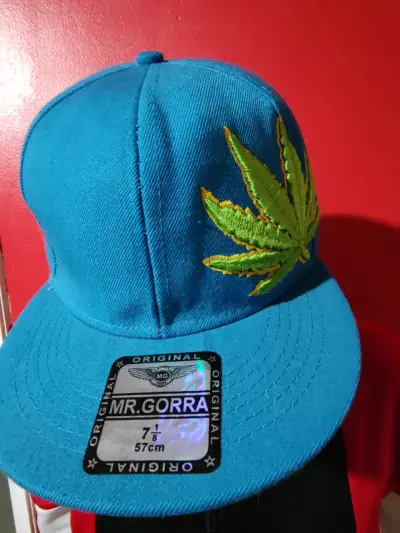 Gorra azul con hoja bordada Mr. Gorra - miniatura 2