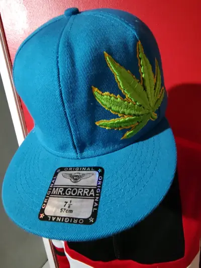 Gorra azul con hoja bordada Mr. Gorra - miniatura 3