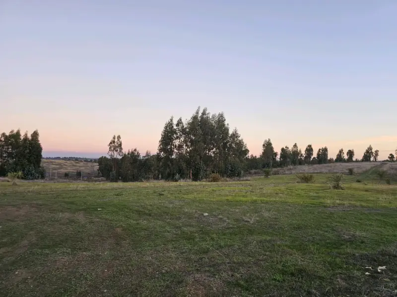 Venta de parcelas - 5