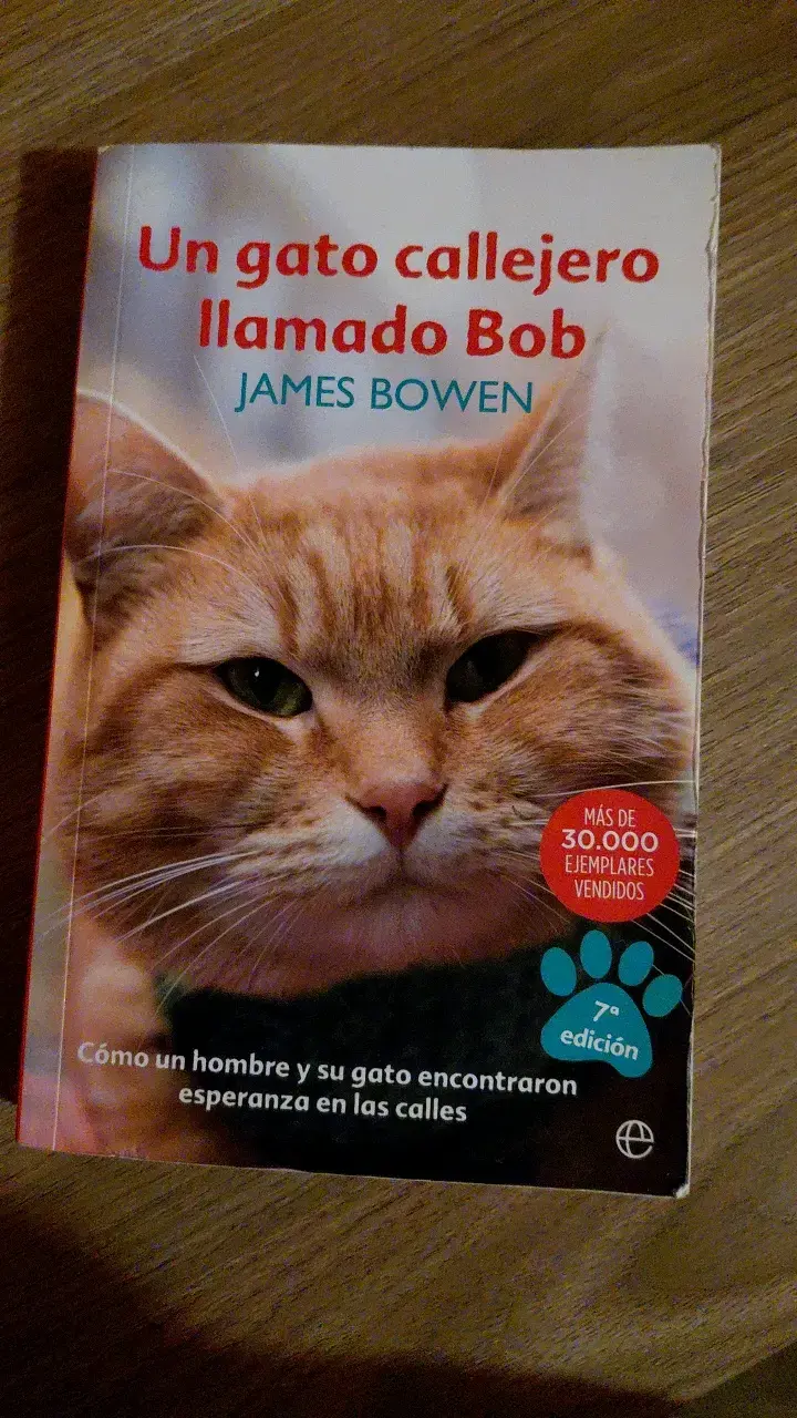 Libro Un Gato Callejero Llamado Bob de James Bowen - 1
