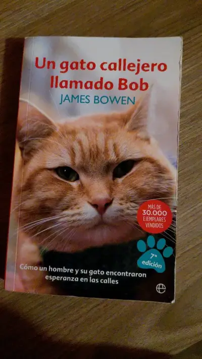 Libro Un Gato Callejero Llamado Bob de James Bowen - miniatura 1