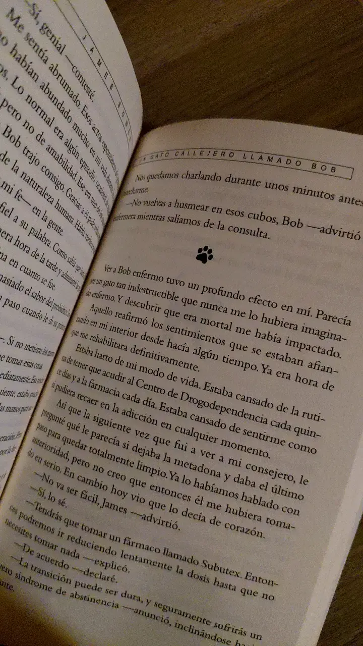 Libro Un Gato Callejero Llamado Bob de James Bowen - 3