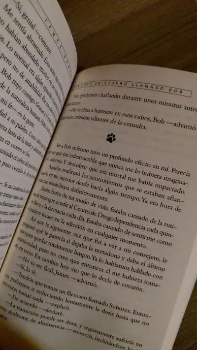 Libro Un Gato Callejero Llamado Bob de James Bowen - miniatura 3