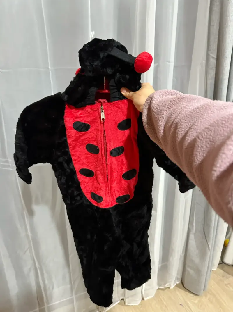 Disfraz de mariquita para niño