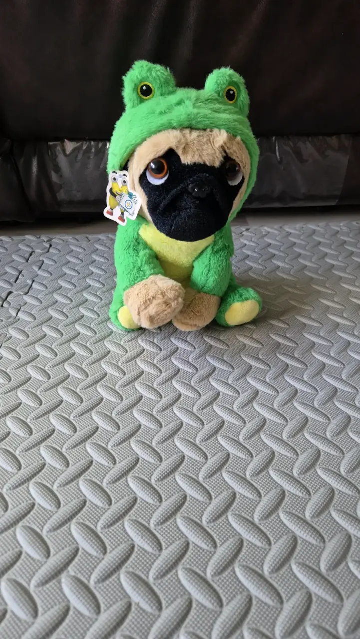 Peluche de perro disfrazado de rana - 1