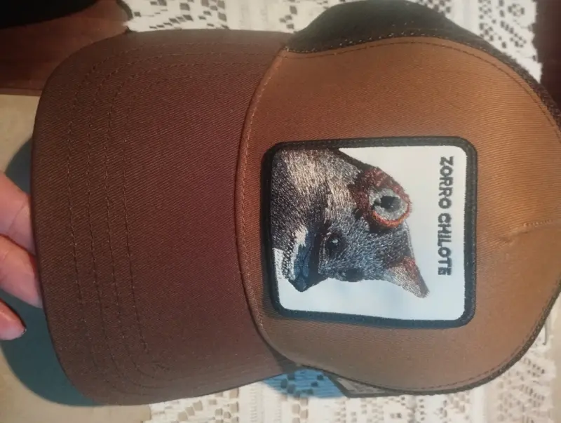 Gorra negra con diseño de cóndor Will lamma - 2