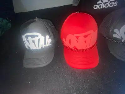 Gorras  Synaworld - miniatura 1