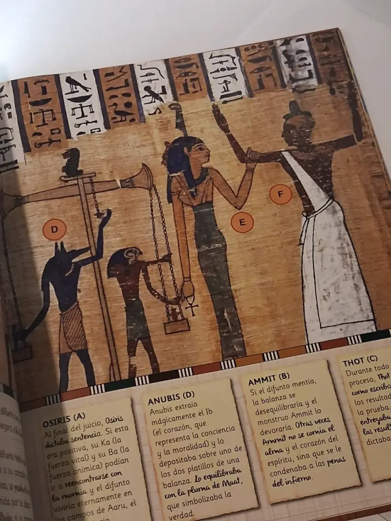 Libro Egipto Misterioso con Sarcófago de Tutankamón - 2