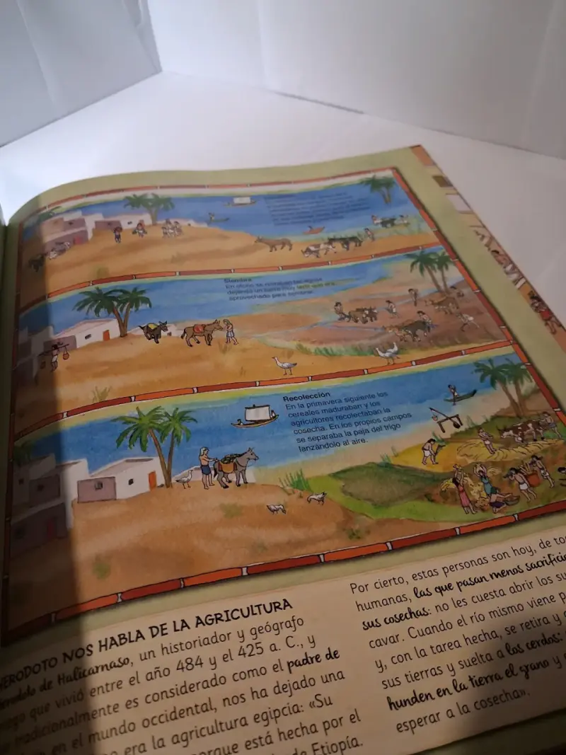 Libro Egipto Misterioso con Sarcófago de Tutankamón - 4