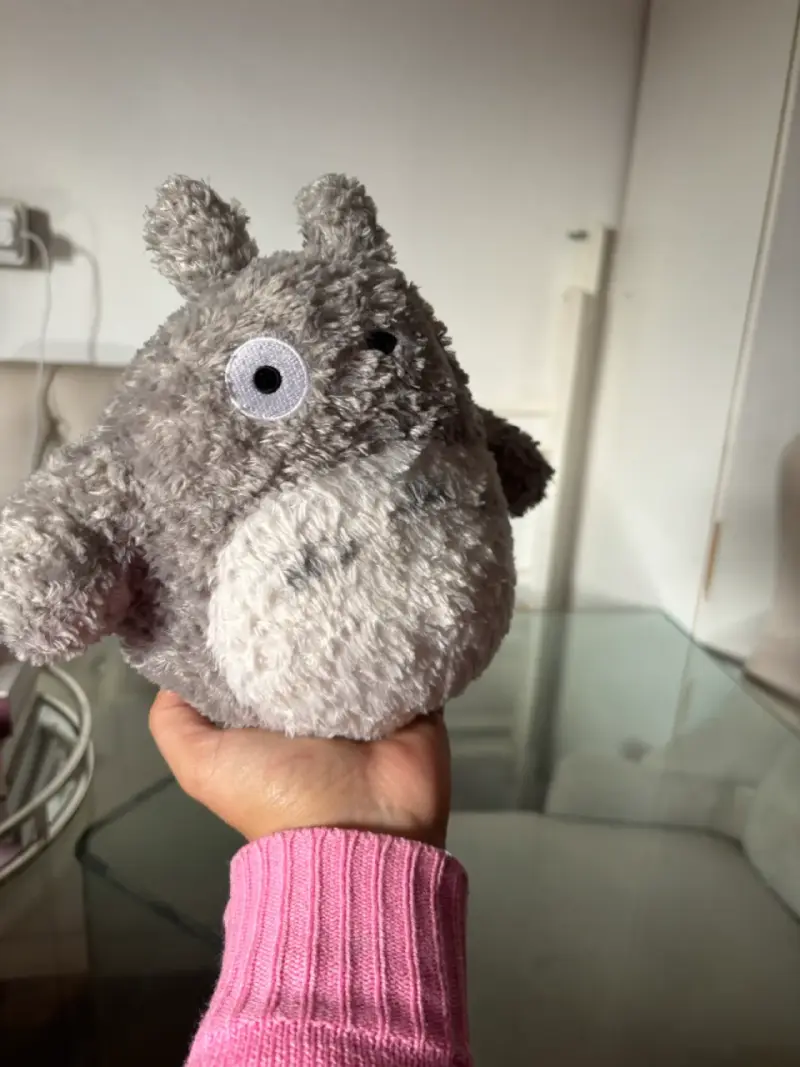 Peluche Totoro - 2