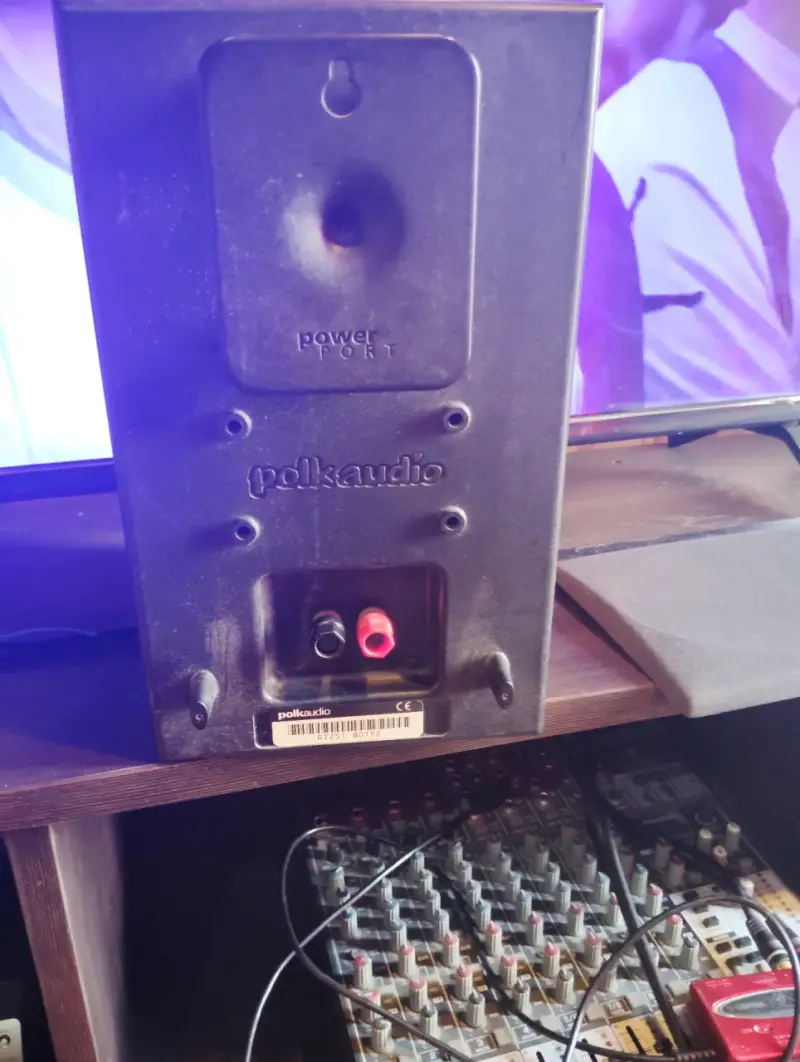 Parlante Polk Audio con Power Port y cd Sony - 1