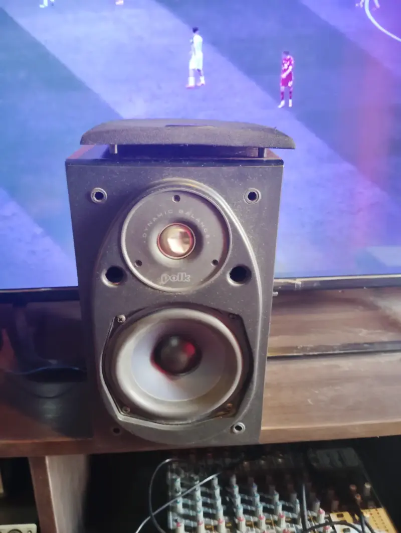 Parlante Polk Audio con Power Port y cd Sony - 2