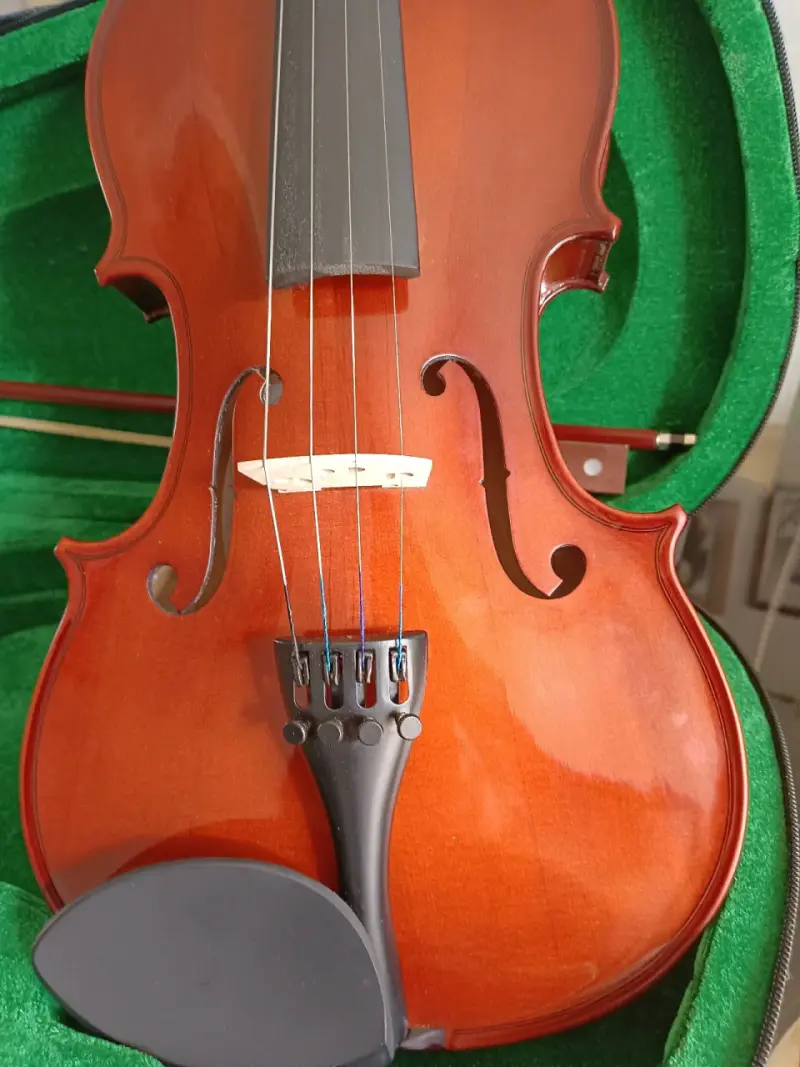 Violín acústico con estuche y arco - 1