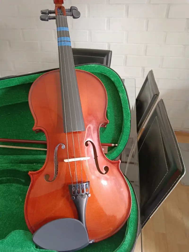Violín acústico con estuche y arco - 2