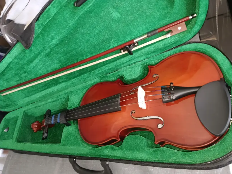 Violín acústico con estuche y arco - 4