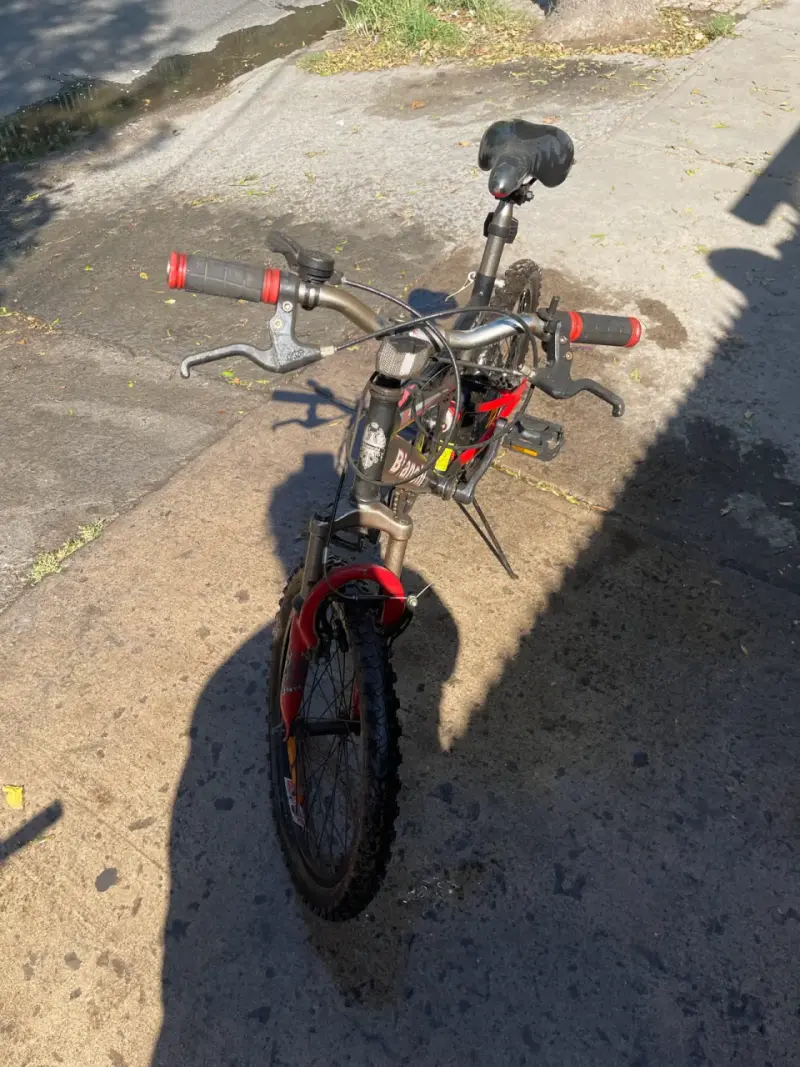 Bicicleta Bianchi DSX para niños con suspensión - 4
