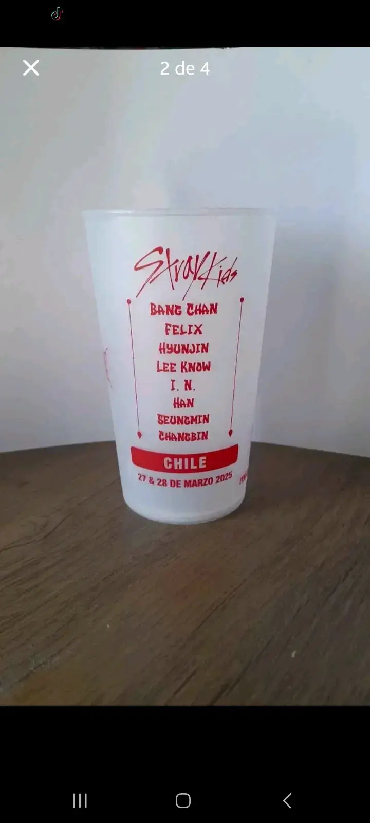 Vasos de  Stray Kids World Tour - 2