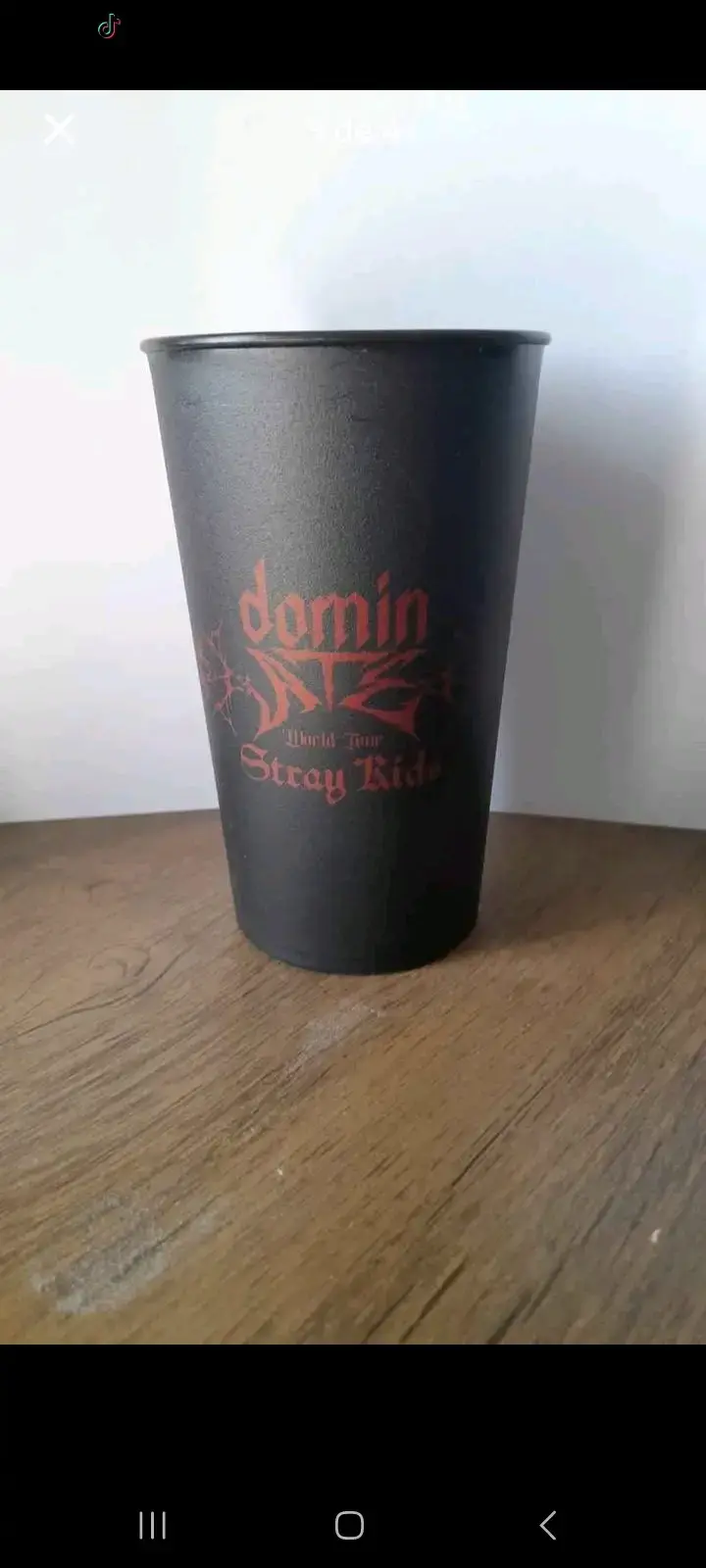 Vasos de  Stray Kids World Tour - 3